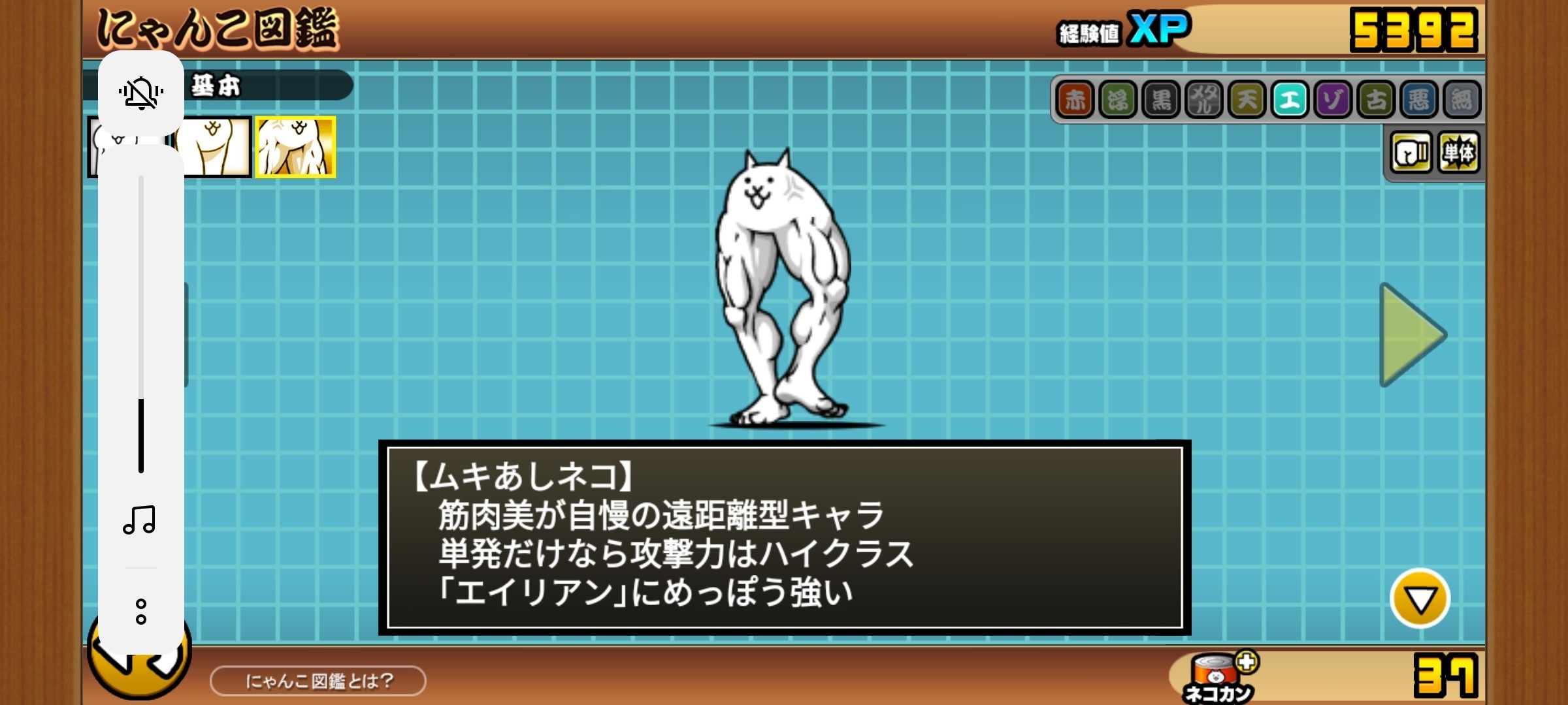 は(?)
